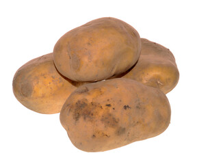 potato isolated on white background