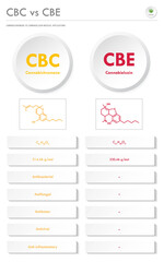 CBC vs CBE, Cannabichromene vs Cannabielsoin vertical business infographic  illustration about cannabis as herbal alternative medicine and chemical therapy, healthcare and medical science vector.