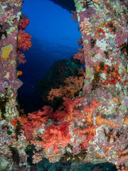 sunken boat in red sea