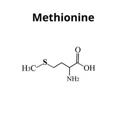 Methionine is an amino acid. Chemical molecular formula of methionine amino acid. Vector illustration on isolated background