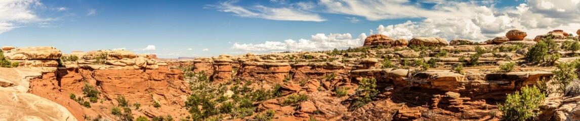 Fototapeta na wymiar Panorama view of canyons, mesas and buttes nature in canyonlands national park in Utah, America