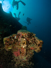 Fototapeta na wymiar seabed in the red sea with coral and fish 