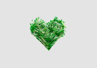 Sprouts of watercress salad micro greens in the shape of a heart on a white background. 