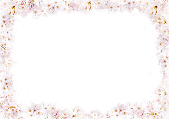 Cherry blossom frame with a blank center
