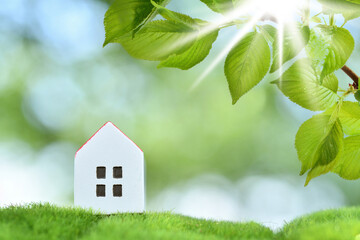 White house on green grasses