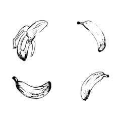 banana illustration