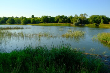 common lake in Russia
