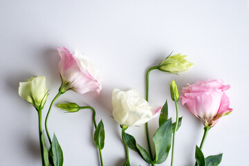 Colorful roses flower arrangement top view