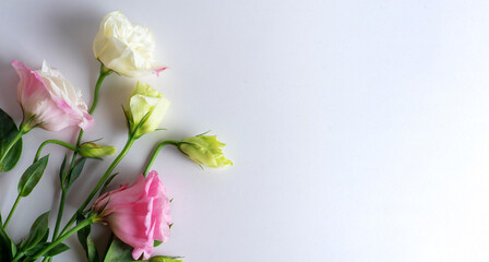 Fototapeta na wymiar Colorful roses flower arrangement top view
