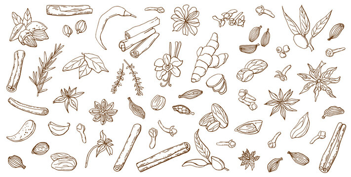 Linear set of various spices. Line art. White background, isolate. Vector illustration.
