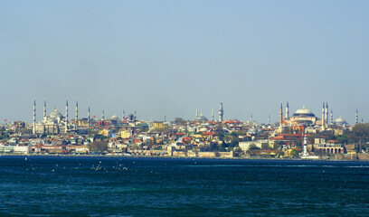 Obraz premium SONY DSC