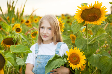 Beautiful young girl in a field of sunflowers