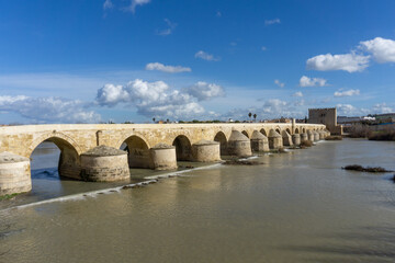 Fototapeta premium view of the Roman Bridge and Guadalquivir River in Cordoba