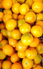 Oranges at the market