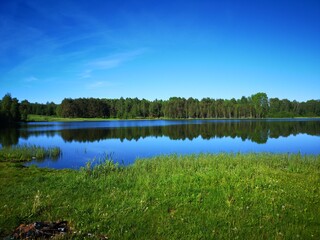 transparent lake with reflection of forest in summer water