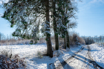 Campagne sous la neige