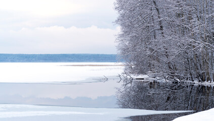 Winter landscape of a forest lake. Beautiful Winter landscape scene background with snow covered...