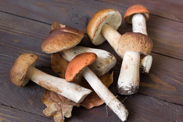 Cep mushrooms. Boletus oak leaves and acorns on the wooden surface. Autumn template.