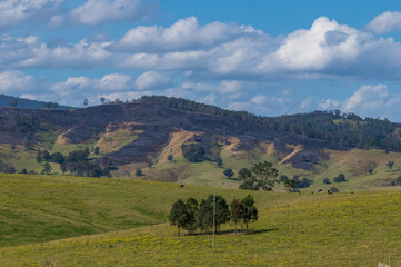 Rural landscape with paddocks and burnt areas on the rolling hills