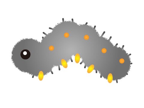 19 991 最適な 綺麗な毛虫 画像 ストック写真 ベクター Adobe Stock 19 991 最適な 綺麗な毛虫 画像 ストック写真 ベクター Adobe Stock