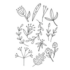 Coloring black and white. Leaves and flowers with patterns.