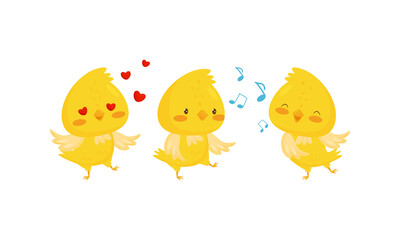 Yellow Chick Feeling Enamored and Singing Vector Set
