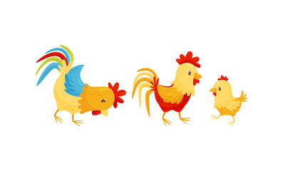 Feathered Hen and Baby Chick as Farm Bird Walking in the Yard Vector Set