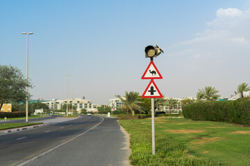 Beware of camels, crossing the road.  Road sign in UAE