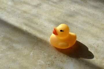 Fototapeta na wymiar Rubber duck on the floor with copy space on the left side. Light and shadow concept. 