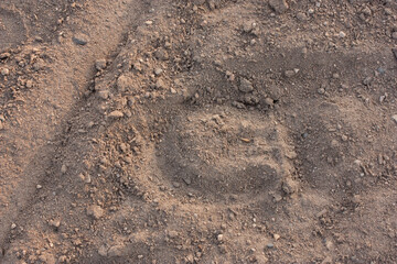 horse hoof prints on the ground