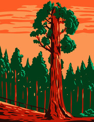 WPA poster art of the General Grant tree, a giant sequoia Sequoiadendron giganteum in Kings Canyon National Park  in California done in works project administration or federal art project style.