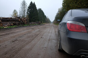 On the forest road