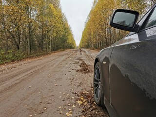 The car on the forest road