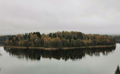 The autumn forest panoramic view