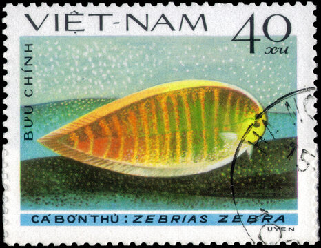 Postage stamp issued in the Vietnam with the image of the Zebra Sole, Zebrias zebra. From the series on Fish - Soles, Flatfish, circa 1982