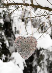 Heart shaped bird feeder made with peanuts, sunflower seeds and coconut fat hanging on the tree....