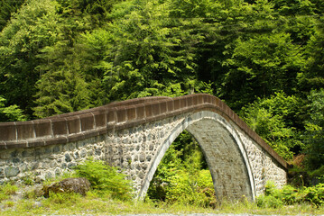 A beautiful photo of a bridge in the middle of a forest filled with green grass.