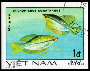 Postage stamp issued in the Vietnam with the image of the Pearl Gourami, Trichopterus sumatranus....