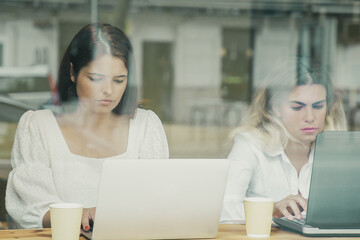 Focused blonde and brunette women working on laptops and sitting at table with takeaway coffee. Professional designers creating new design. Communication and digital technology concept