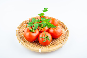 Fresh tomatoes on white background