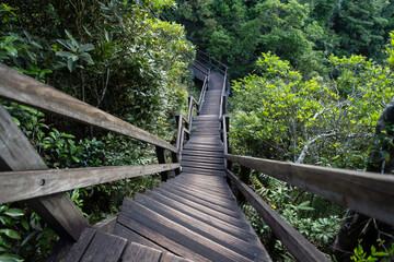 2020 April 17,Lantau Island,Hong Kong.There are many beautiful wooden bridges along the entire Ngong Ping Trail.