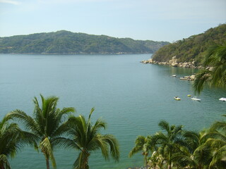 Vue sur mer avec des palmiers