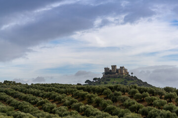 Fototapeta na wymiar view of the castle in Almodovar del Rio