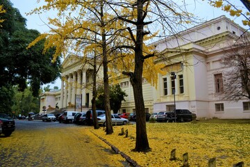 MUSEO CIENCIAS NATURALES