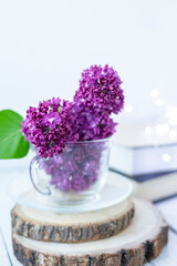 Transparent cup with flowers. Beautiful lilac fills the glass. The spring bouquet is worth no wooden cuts. Macro image of spring lilac purple flowers. Book in the background and lights. Blurred.