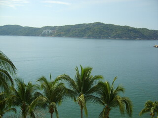 Vue sur une plage avec des plamiers