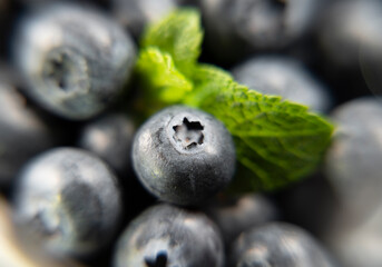  Ripe and juicy fresh  blueberries