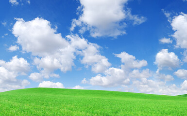 Fototapeta na wymiar Idyllic view, green field and the blue sky with white clouds