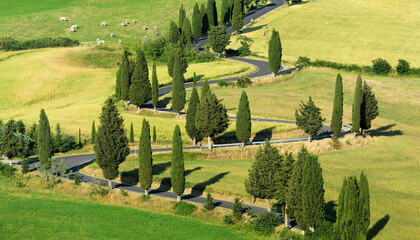 Italian view, Tuscany road among green fields