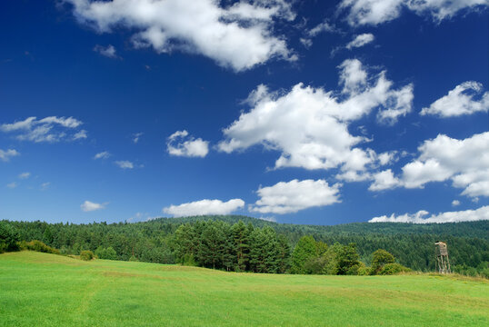 Landscape, View Of Green Rolling Fields